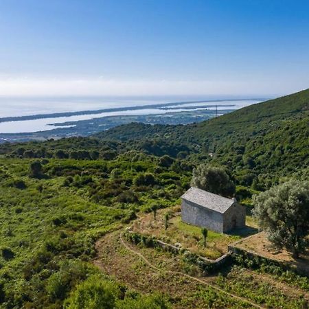 Appartement Neuf Entre Mer Et Montagne. Furiani Kültér fotó