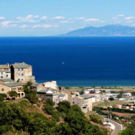 Appartement Neuf Entre Mer Et Montagne. Furiani Kültér fotó